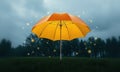 Life insurance underumbrella concept Royalty Free Stock Photo
