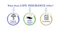 Life Insurance