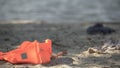 Life jacket lying on seashore, disaster area, catastrophe mortality statistics