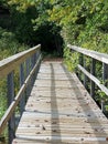 Wooden Boardwalk with Railings Disappears into the Forest Darkness Royalty Free Stock Photo