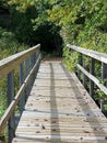 Wooden Boardwalk with Railings Disappears into the Forest Darkness