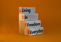 LIFE living in freedom everyday symbol. Concept words LIFE living in freedom everyday on wooden blocks on a beautiful orange