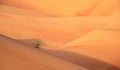 Life in Liwa Desert Royalty Free Stock Photo