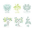Life Logo Design with Human Silhouette as Tree with Lush Leaf Crown Vector Set Royalty Free Stock Photo