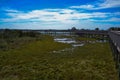 The Life of the Marsh Trail, Assateague Island National Seashore, Berlin, MD