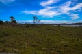 The Life of the Marsh Trail, Assateague Island National Seashore, Berlin, MD