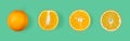 The life of an orange. Different stages of orange growth: whole, half, slice