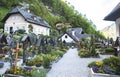 The life, people, nature in Hallstatt Village in Austria