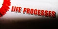 life processes written on red colour text on white paper sheet