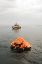 Liferaft and rescue vessel