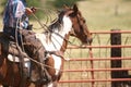 Life on the ranch