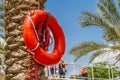 Life ring hanging on the date palm trunk