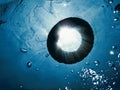 Life Ring in water, underwater. Royalty Free Stock Photo