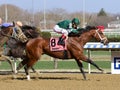 Life`s a Parlay Wins the Excelsior Stakes