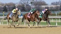 Life`s a Parlay Wins the Excelsior Stakes