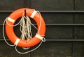 Life Saver Royalty Free Stock Photo