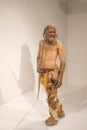 Life-scale reproduction of Iceman Ãâtzi at the archaeological museum of Bolzano, Italy Royalty Free Stock Photo