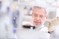 Life scientist researching in the laboratory. Royalty Free Stock Photo