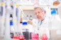 Life scientist researching in the laboratory. Royalty Free Stock Photo