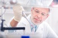 Life scientist researching in the laboratory. Royalty Free Stock Photo