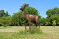 Metal sculpture of an antelope