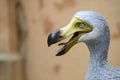 Life size reconstruction of the extinct Dodo bird endemic of Mauritius island