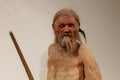 life-size reconstruction of Ãâtzi, the man from Similaun or mummy from Similaun.