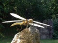 Giant dragonfly sculpture in the wood of the Extinction Park in Italy