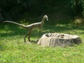 Small predator dinosaur is to steal dinosaur eggs from nest in the wood of the Extinction Park in Italy