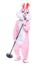 Life size stuffed easter bunny sings in retro microphone, celebrates easter, dances on white background. Funny, happy