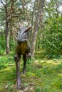 Allosaurus dinosaur statue