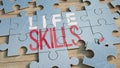 Life skills puzzle