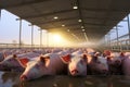 Life on a Tranquil Big Pig Farm. AI Generated Royalty Free Stock Photo