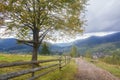 Landscape in Carpathians in auturmn