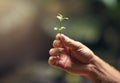 Life will find a way. an unidentifiable person holding a small plant in their hand. Royalty Free Stock Photo