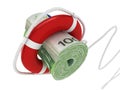 Lifebouy with euro Royalty Free Stock Photo