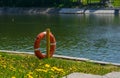 Lifebuoy on the background of a concrete path near the pond with green grass and yellow flowers Royalty Free Stock Photo