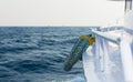 Lifebuoy on the deck of cruise ship Royalty Free Stock Photo