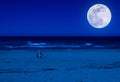 lifebuoy on a deserted beach at night Royalty Free Stock Photo