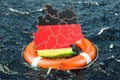 Lifebuoy with German map in the open sea. Safe, help and protect