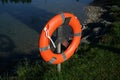 Lifebuoy hanging next to a sea