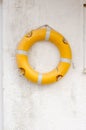 Lifebuoy Hanging on the Wall