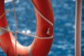 Lifebuoy on the railing of ship and Mediterranean sea Royalty Free Stock Photo
