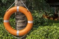 Lifebuoy Ring, Orange lifebuoy with rope on a wooden pier near sea