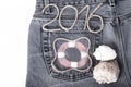 Lifebuoy, rope number 2016 and seashell on jeans pocket background