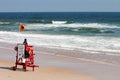 Lifeguard Royalty Free Stock Photo