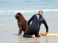 Lifeguard Dog Royalty Free Stock Photo