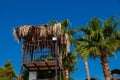 Lifeguard tower near the palms. Coast guard and water rescue station on public beach Royalty Free Stock Photo