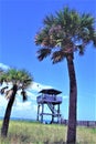 Lifeguard tower station with palm trees        vertical Royalty Free Stock Photo