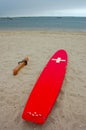Lifeguard wake board